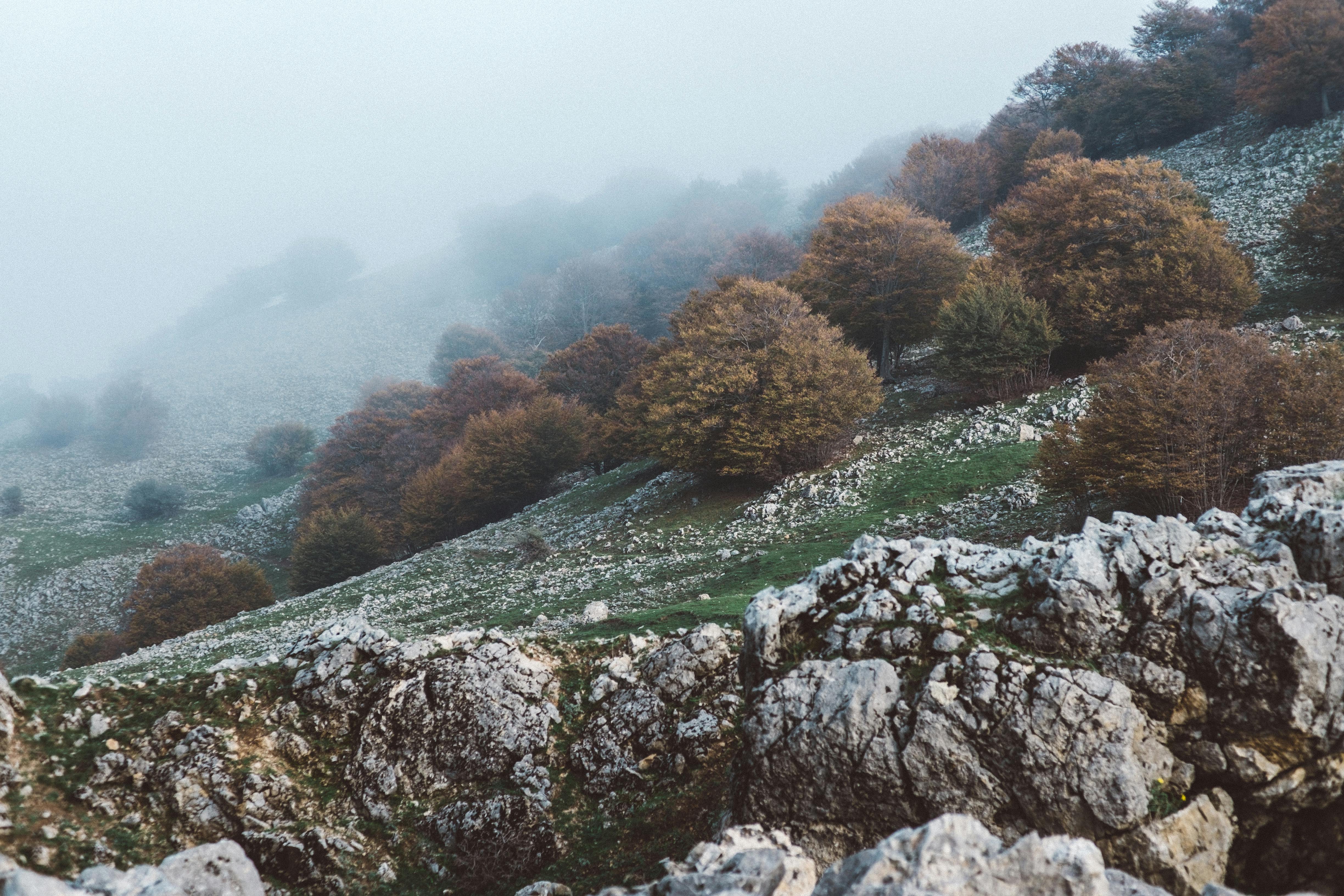 Explore the foggy autumn scenery with colorful trees in Piano Battaglia, Sicily.