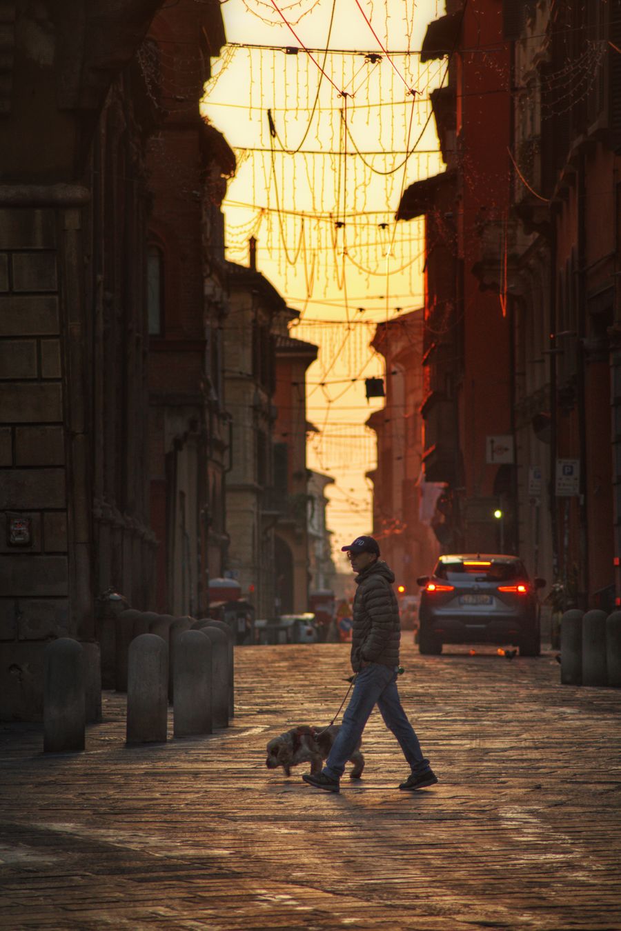 A morning dog walk along a sunlit street