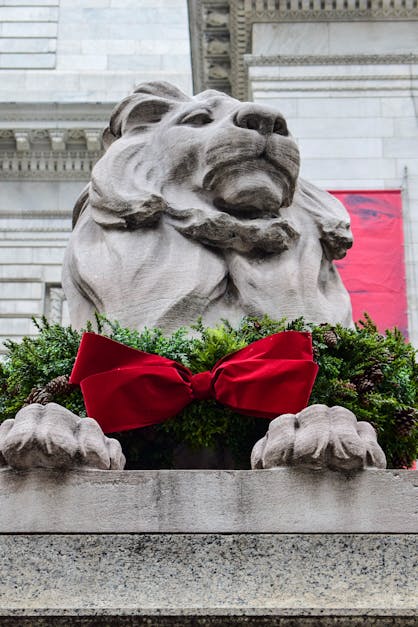 Free stock photo of lion, new york city, New York Public Library
