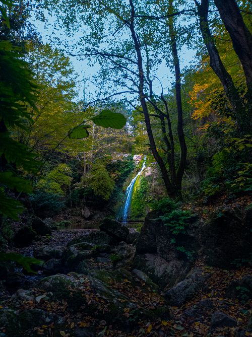 Free Tranquil waterfall amidst lush autumn forest, ideal for nature and travel themes. Stock Photo