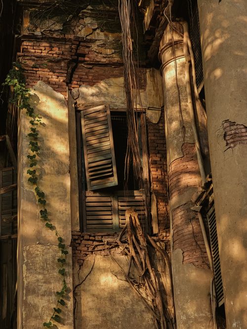 Free A weathered facade with wooden shutters and climbing plants in Kolkata, India Stock Photo