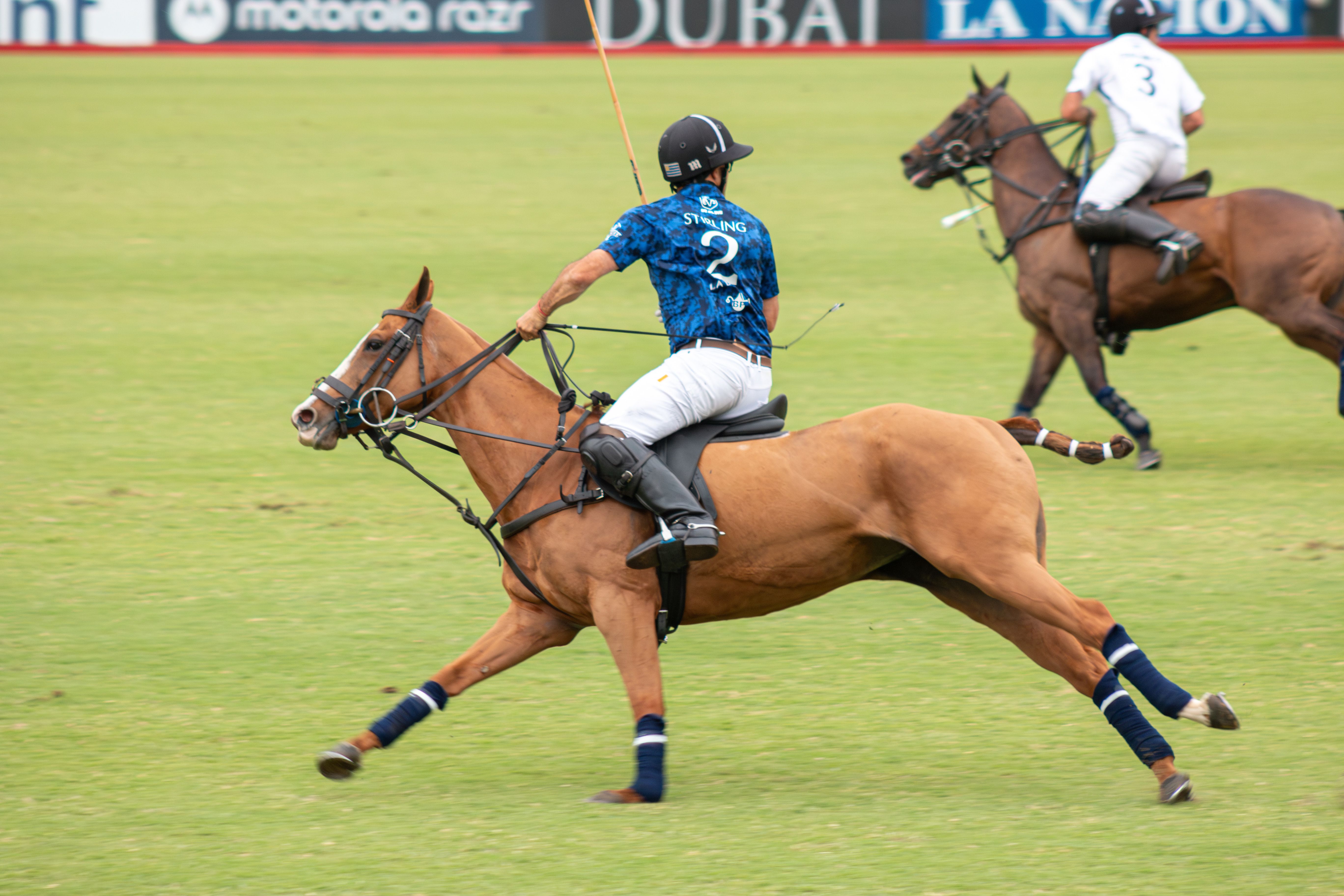 Two polo players on horseback chasing the ball at speed during a match in Buenos Aires, with tournament advertising boards along the boundary of the manicured green field.