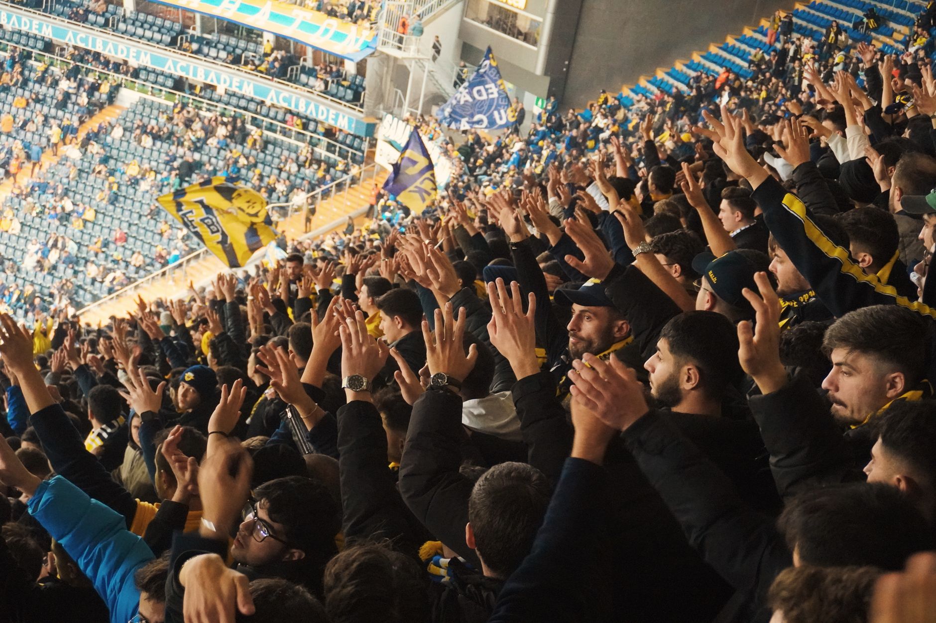 The football crowd roar on the telly