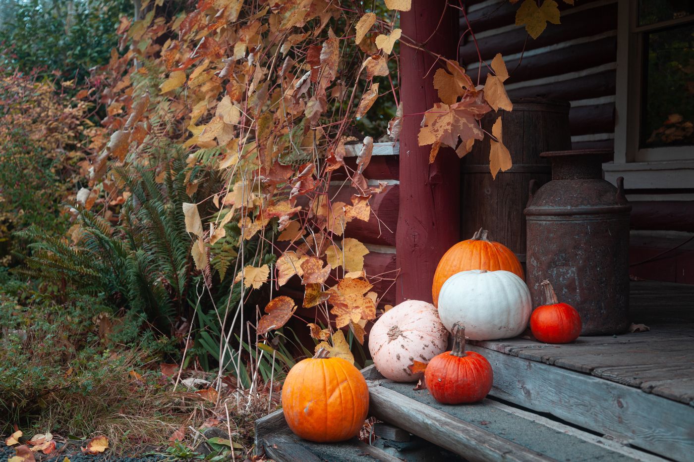 A cozy autumn porch styled with pumpkins, mums, and fallen leaves