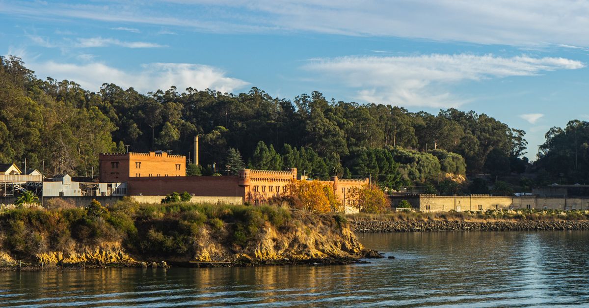 A picturesque view of Alcatraz Island surrounded by trees and water under a clear sky.