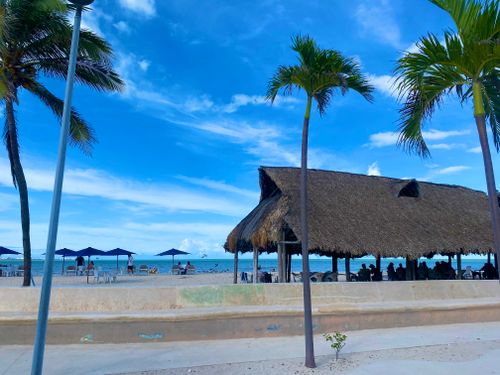 Free Beach Stock Photo