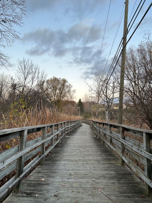 Free Scenic wooden path surrounded by bare trees during fall with a cloudy sky. Stock Photo