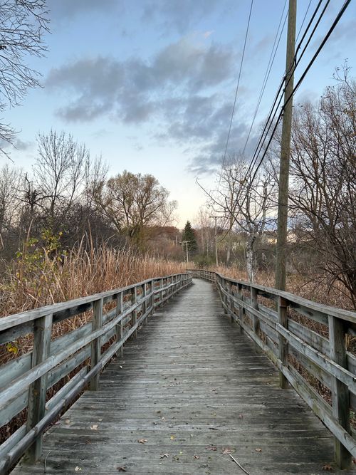 Free Serene boardwalk through autumn landscape with trees and cloudy sky. Stock Photo