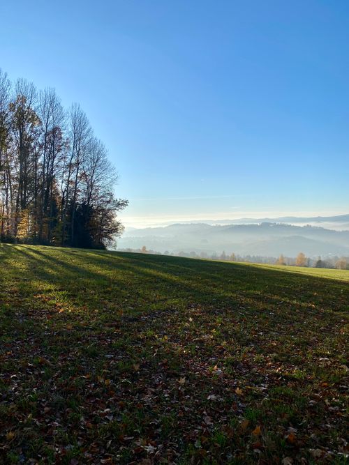 Free A serene autumn landscape with trees and misty mountains under a clear blue sky. Stock Photo