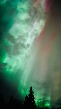 Vibrant aurora borealis illuminating the night sky with striking colors and natural beauty.
