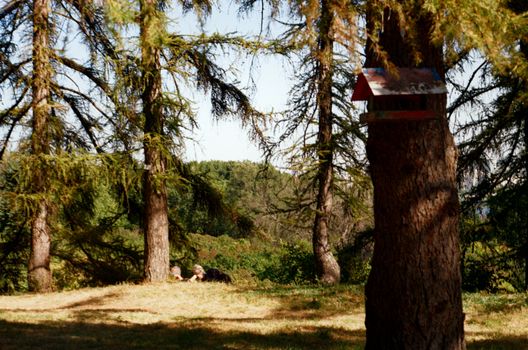 Tranquil outdoor scene in Kyiv's lush park with birdhouse and relaxing figures.