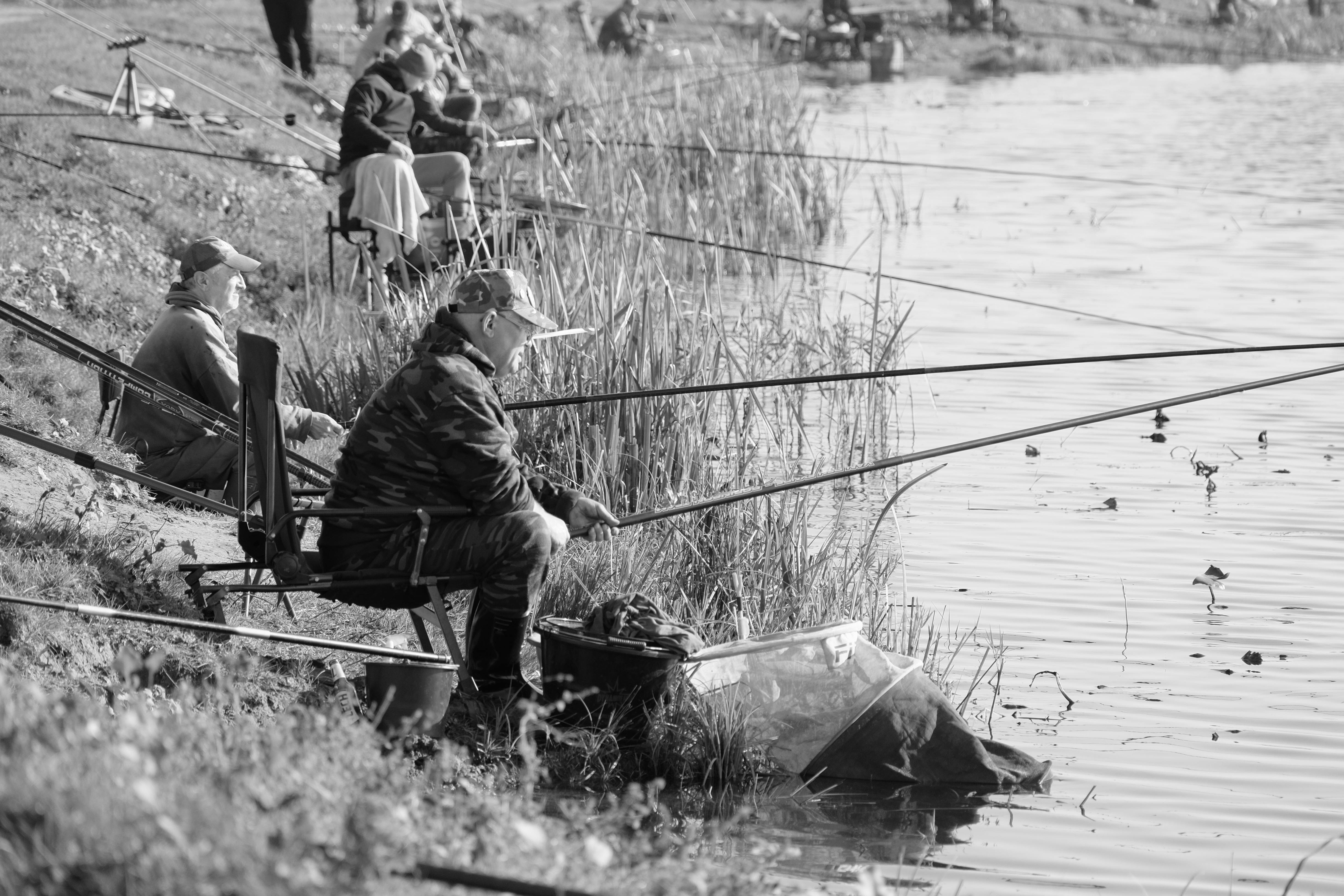 QCCA Fishing, Hunting and Outdoor Adventure Show returns this weekend — Photo by Roman Biernacki on Pexels