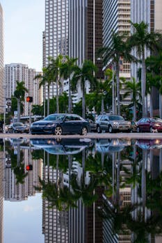 阳光明媚的日子里，迈阿密市中心的天际线和停放的汽车倒映出充满活力的景象