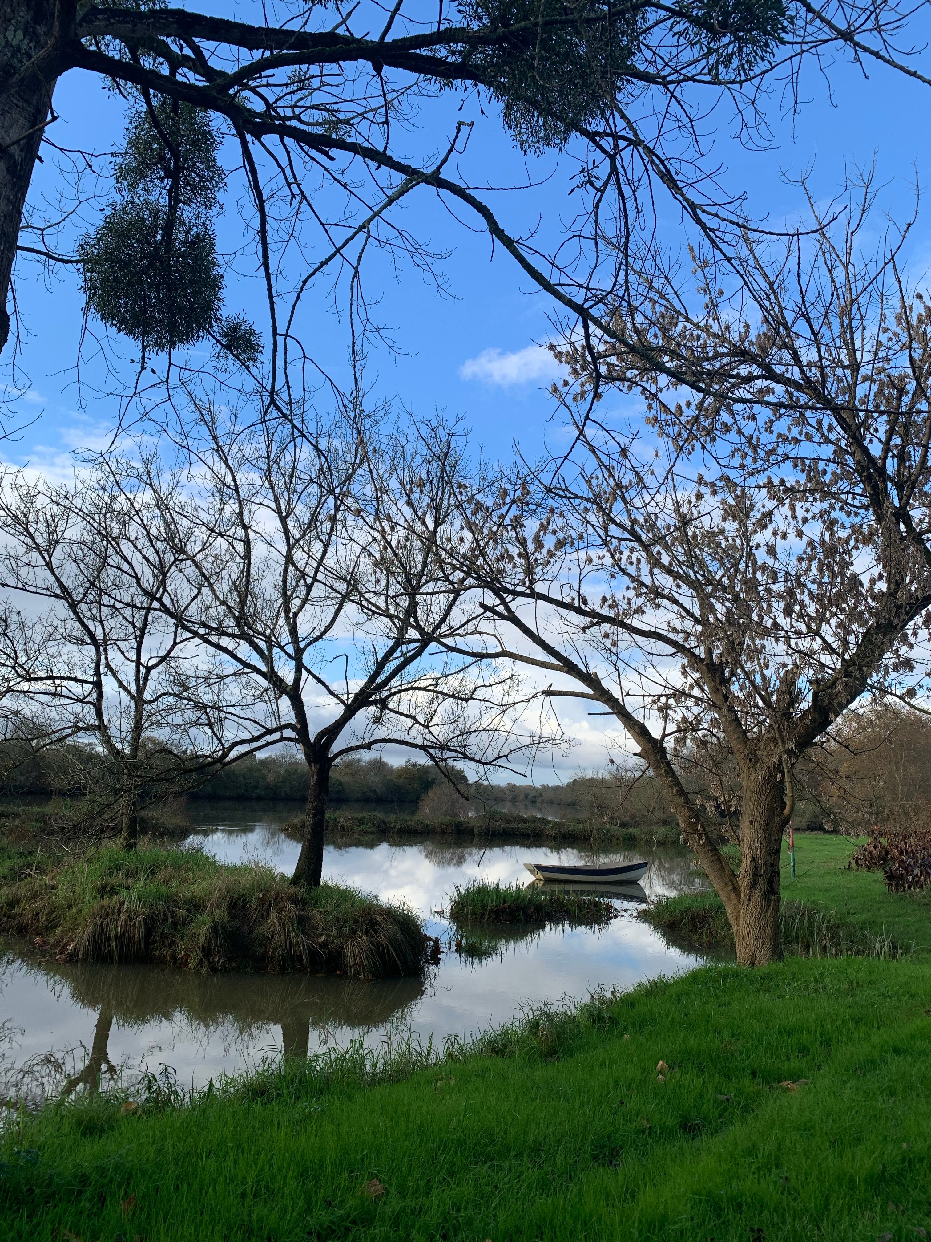Serene Riverside Scene with Boat and Trees · Free Stock Photo