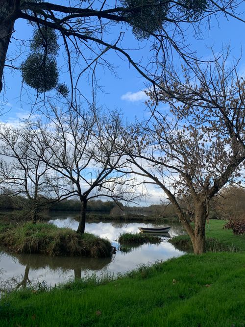 Free Tranquil riverside scene featuring a boat, bare trees, and a blue sky. Stock Photo
