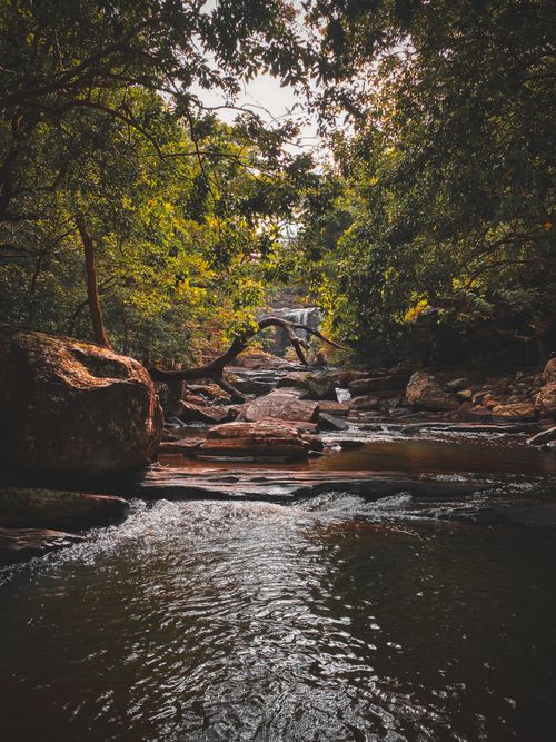 Free Discover the serene beauty of a waterfall amidst lush greenery in Illukkumbura, Central Province. Stock Photo