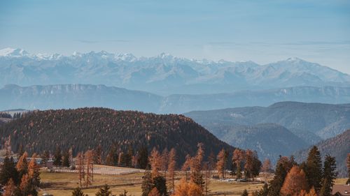 Free Autumn view of Trentino-Südtirol's alpine landscape with vibrant foliage and distant mountains. Stock Photo