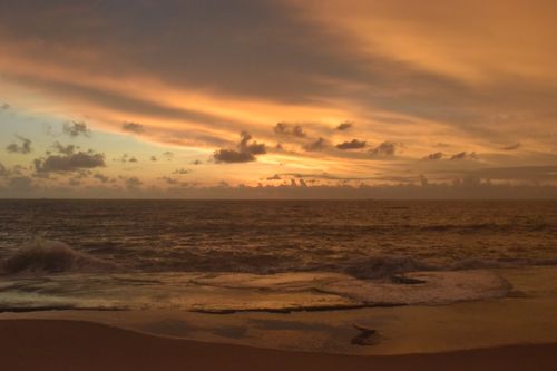 Free stock photo of cloudy skies, golden hour, golden yellow Stock Photo