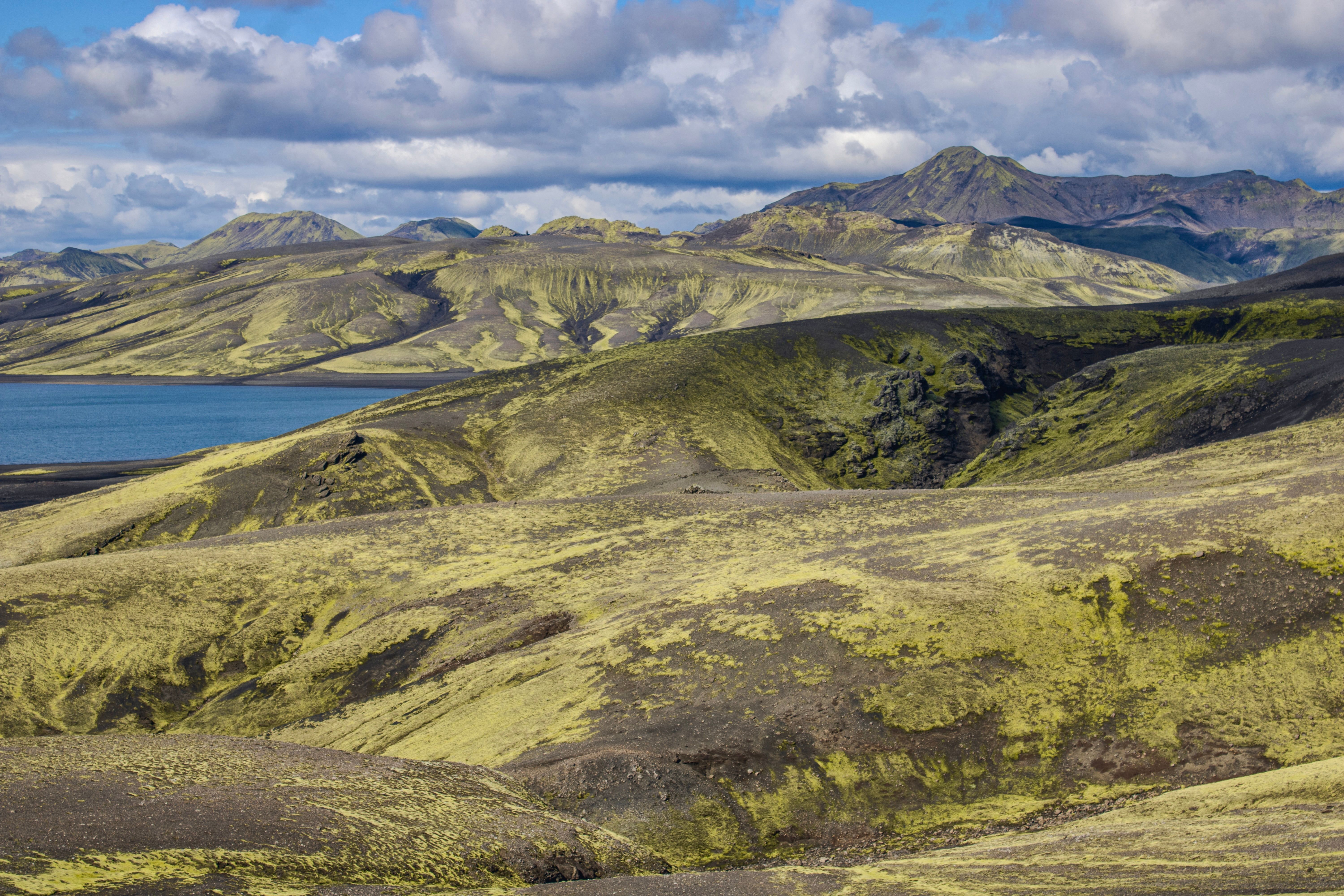 Paysage volcanique du sud de l'Islande avec lac et collines de mousse