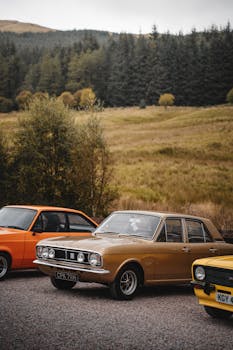 Vintage cars parked in a beautiful woodland area, showcasing classic automotive design.
