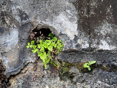 Ilustrasi Cara Setting Screener Emiten Potensial Breakout dalam artikel teknologi