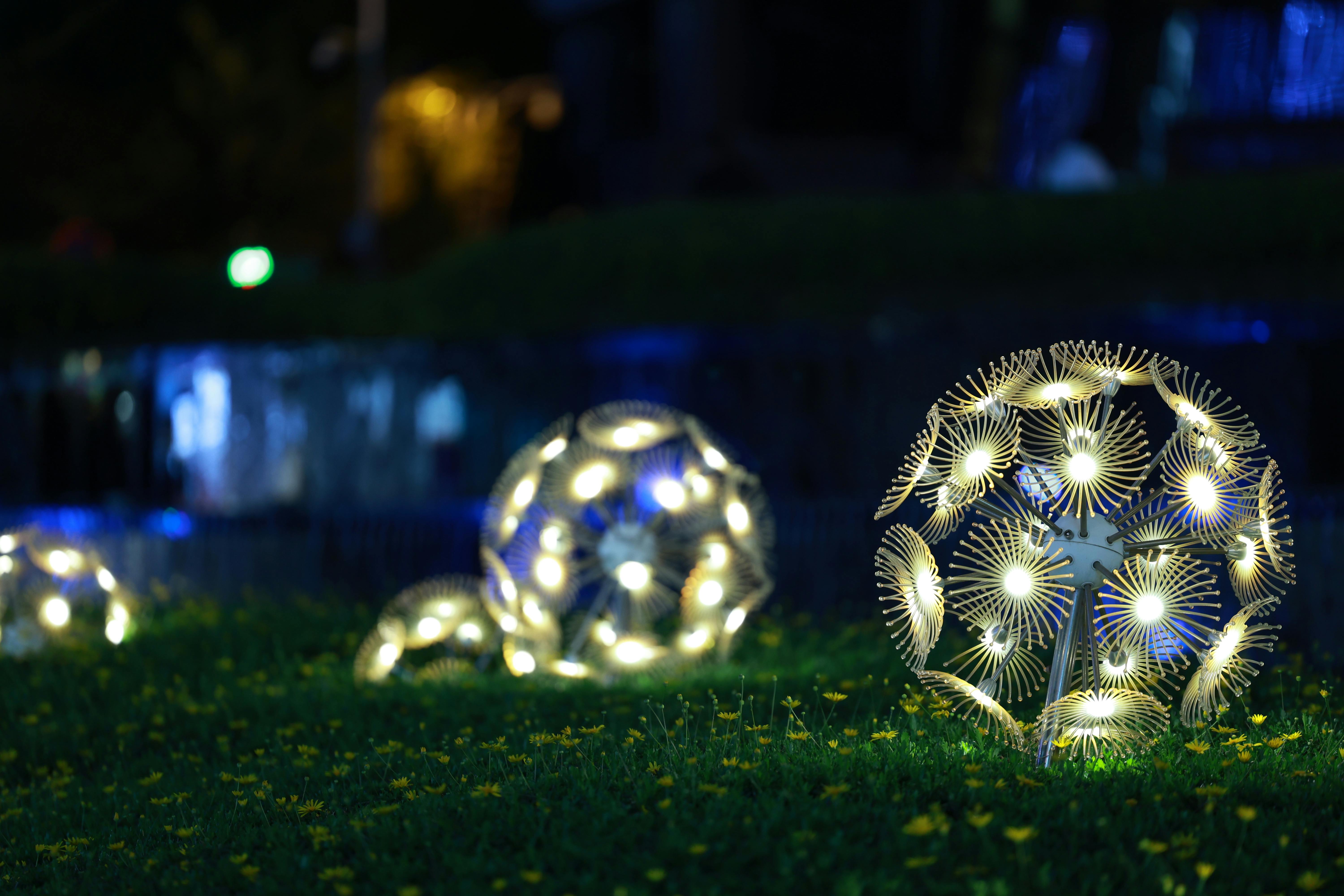 Image Name low-voltage LED garden light in landscaped backyard.