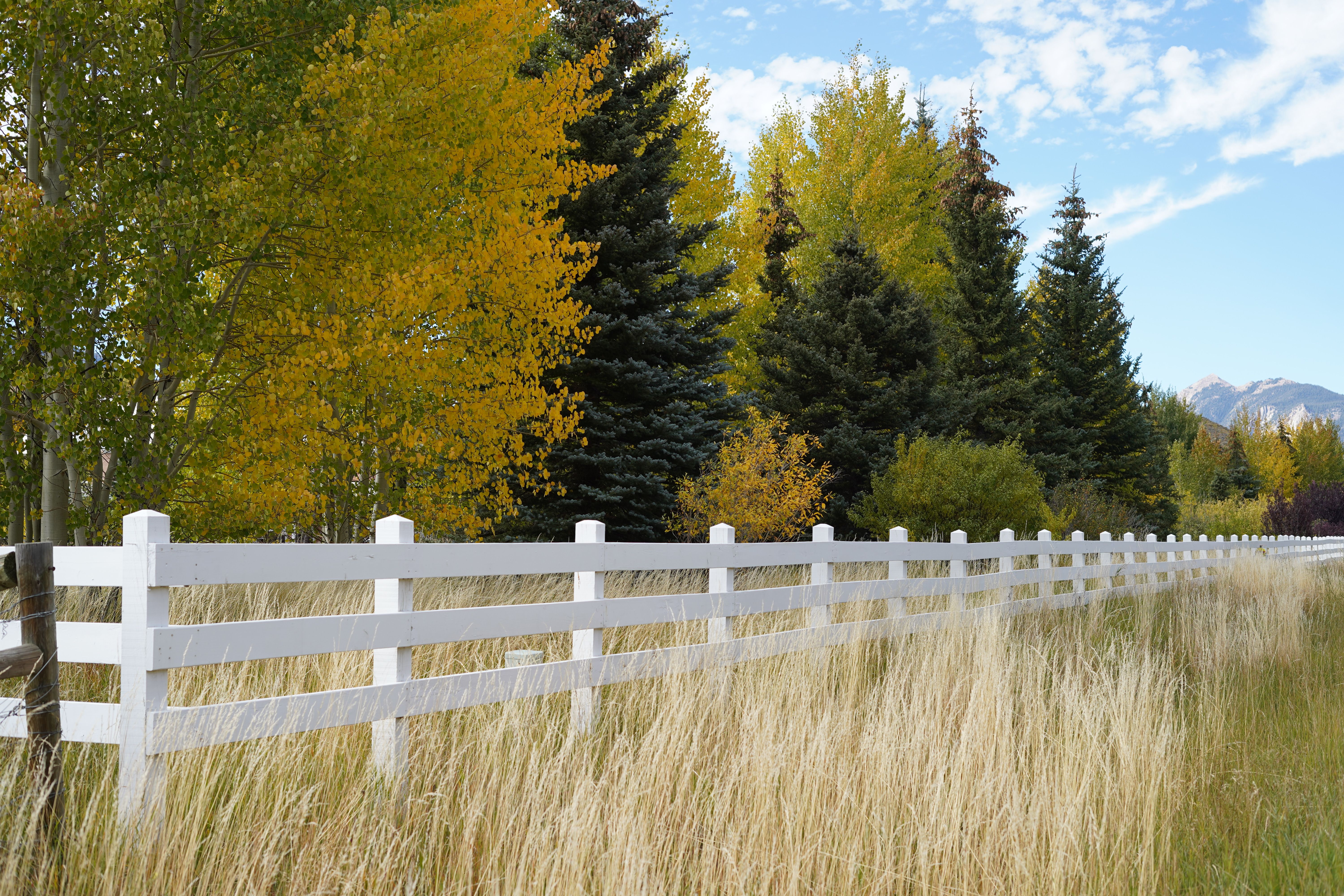 Fence and Decking Painting in Leaves Green — a decorator at work mid-project