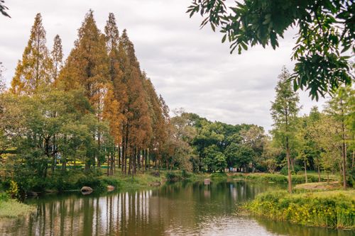 Free Peaceful autumn landscape featuring a tranquil river with colorful foliage. Stock Photo