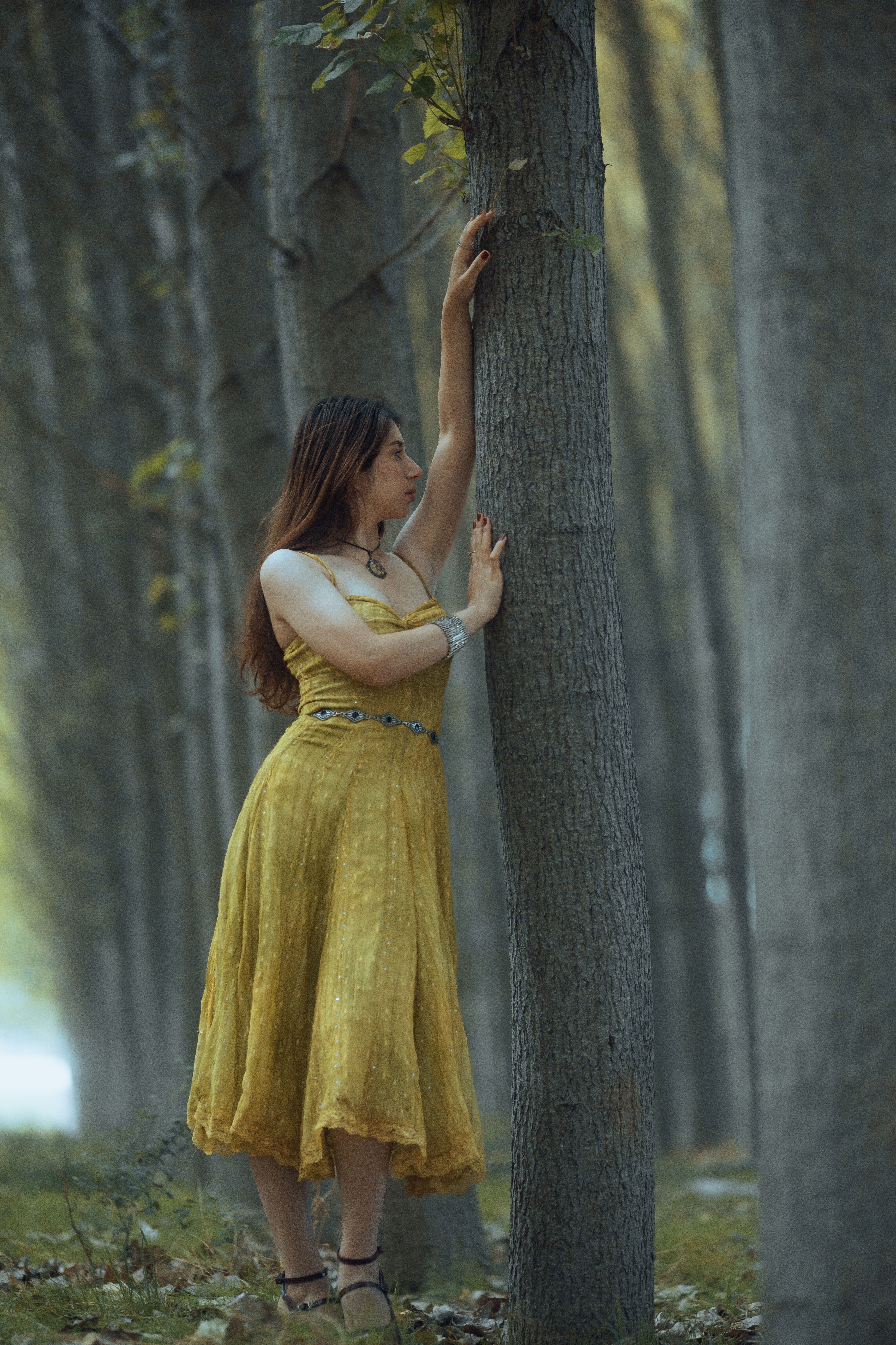 Woman in Yellow Dress in Forest Setting · Free Stock Photo
