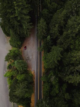 Aerial shot of a forest-lined road with a parked red car in California, USA.
