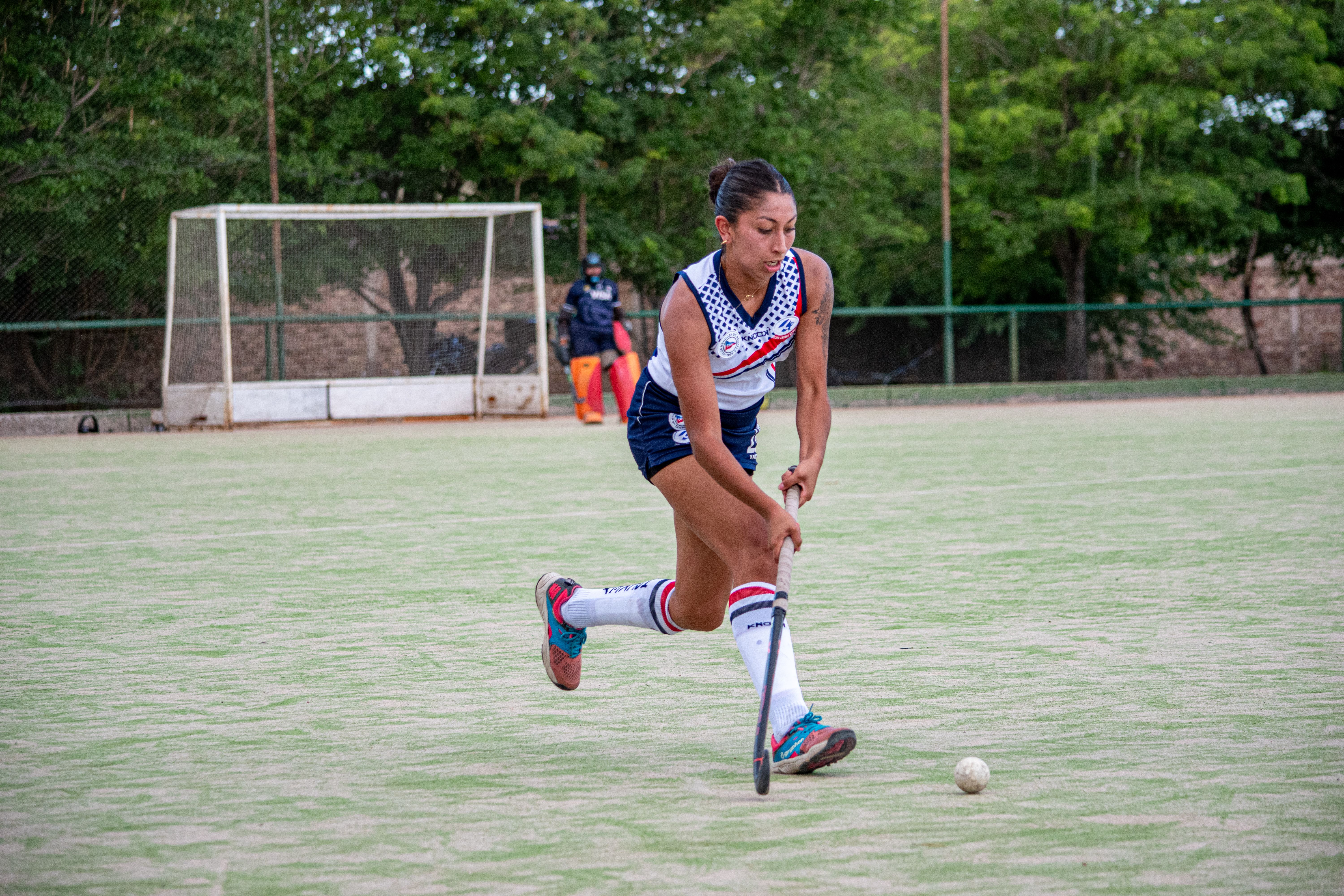 NHL photo featuring Captivating image of a female hockey player striking the ball on an outdoor field, showcasing athleticism and focus.