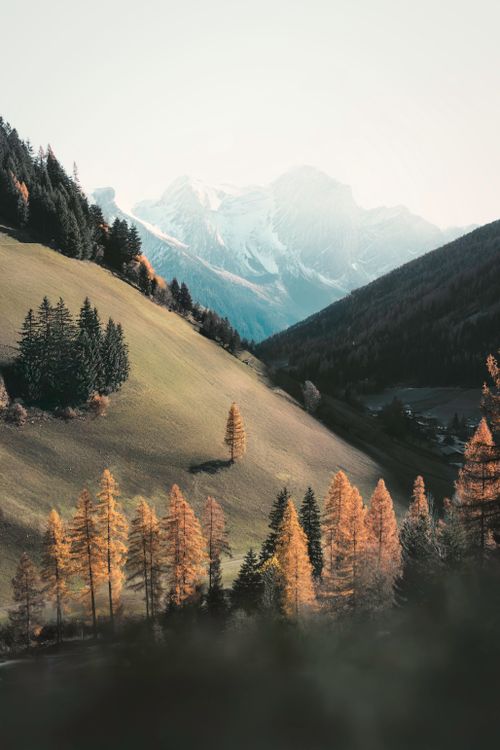 Scenic Alpine Landscape with Snowy Mountains · Free Stock Photo