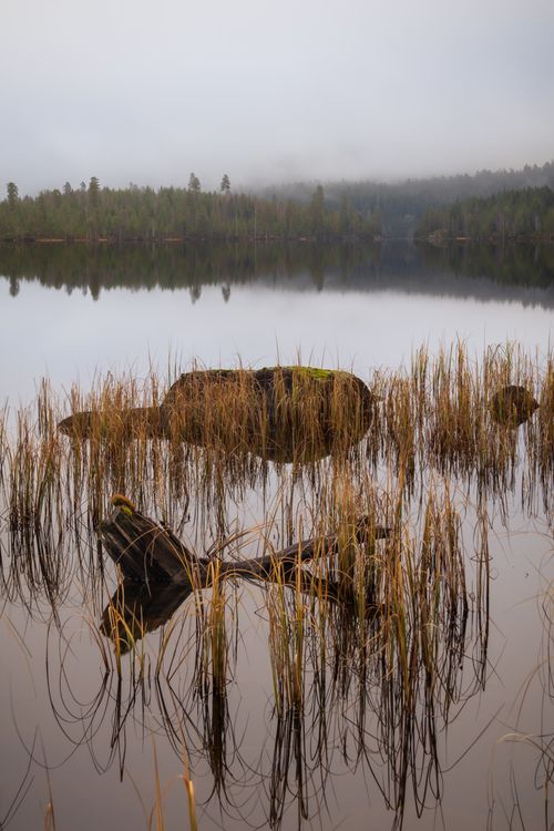 Free A tranquil misty lake surrounded by autumn foliage, reflecting calmness and serenity. Stock Photo