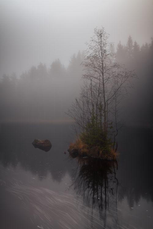 Free A tranquil foggy lake scene with a small mist-covered island creating a mysterious ambiance. Stock Photo