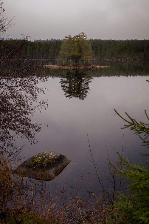 Free A serene island with trees reflected in a calm misty lake, surrounded by forest. Stock Photo