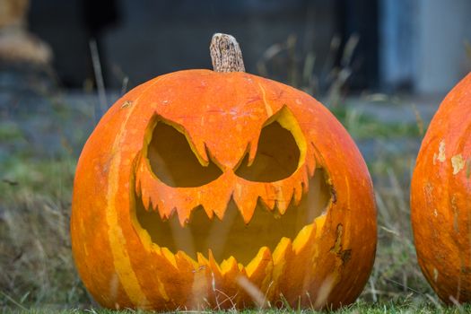Carved pumpkin with a menacing face, perfect for Halloween themes.