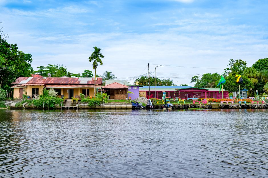 Vibrant riverside houses surrounded by palm trees and greenery under a blue sky.