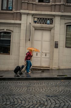 Person with umbrella and suitcase walking past a building on a rainy day.