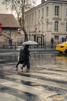 Two pedestrians walk with an umbrella on a rainy city street, reflecting an urban landscape.