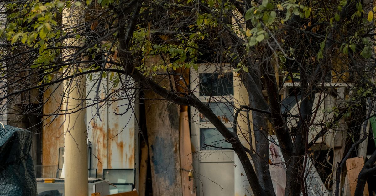 Overgrown Building Tree Urban Decay: Abandoned Building with Overgrown Trees · Free Stock Photo