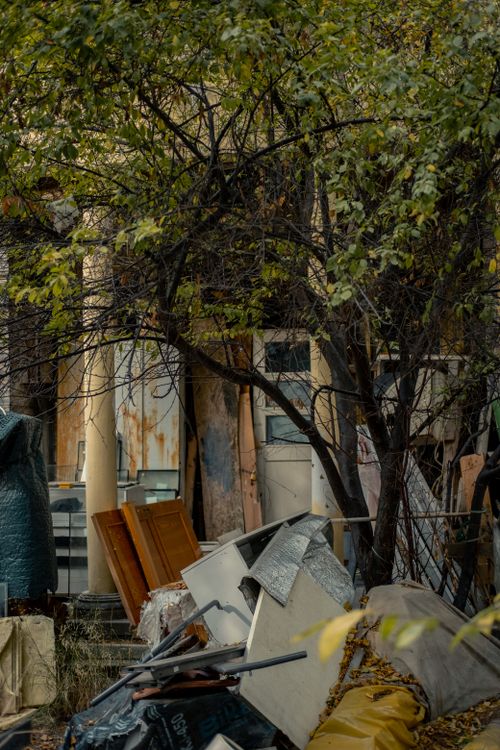 Overgrown Building Tree Urban Decay: Abandoned Building with Overgrown Trees · Free Stock Photo