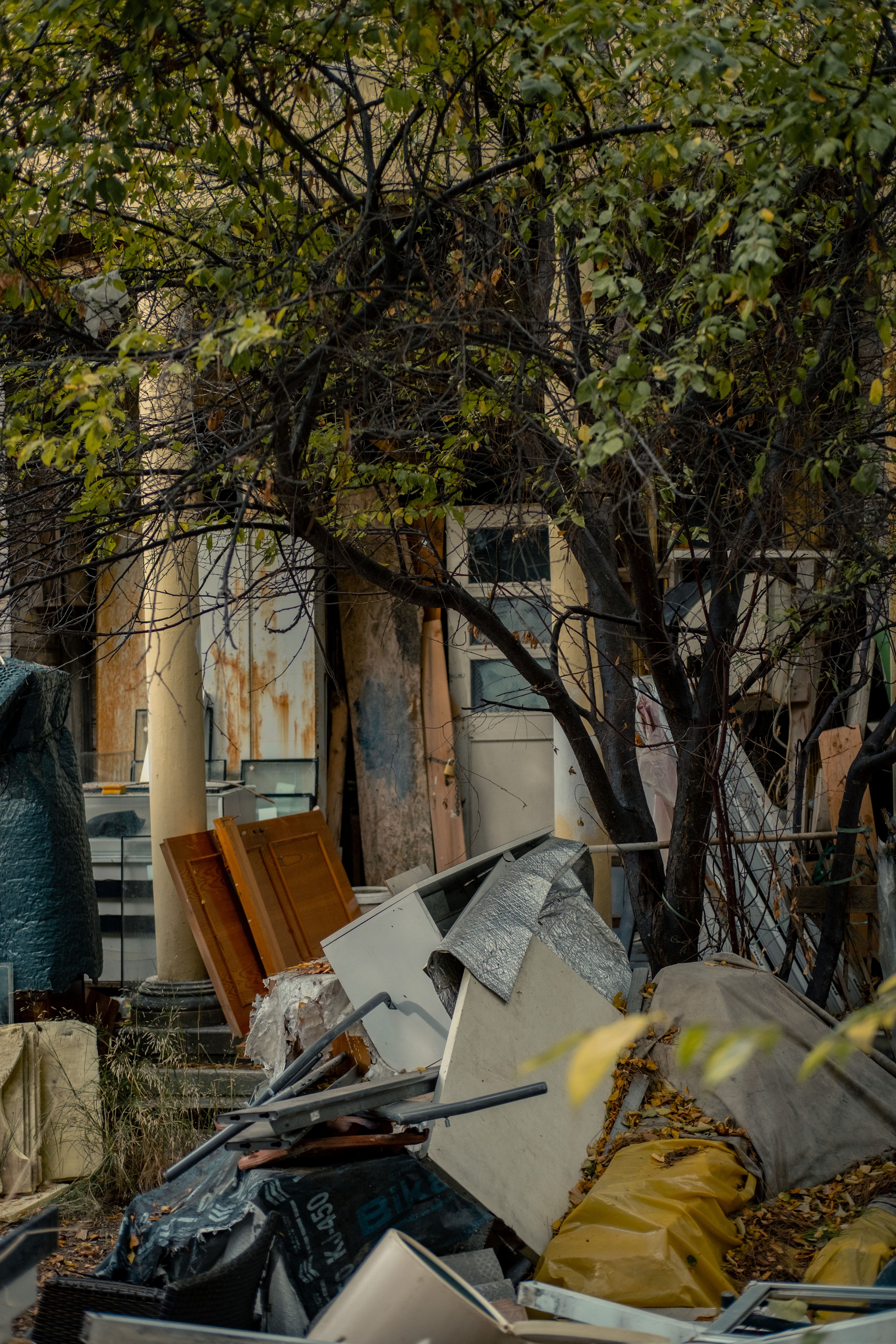 Foreclosure Cleanout Dumpster Rental in Arcadia, CA