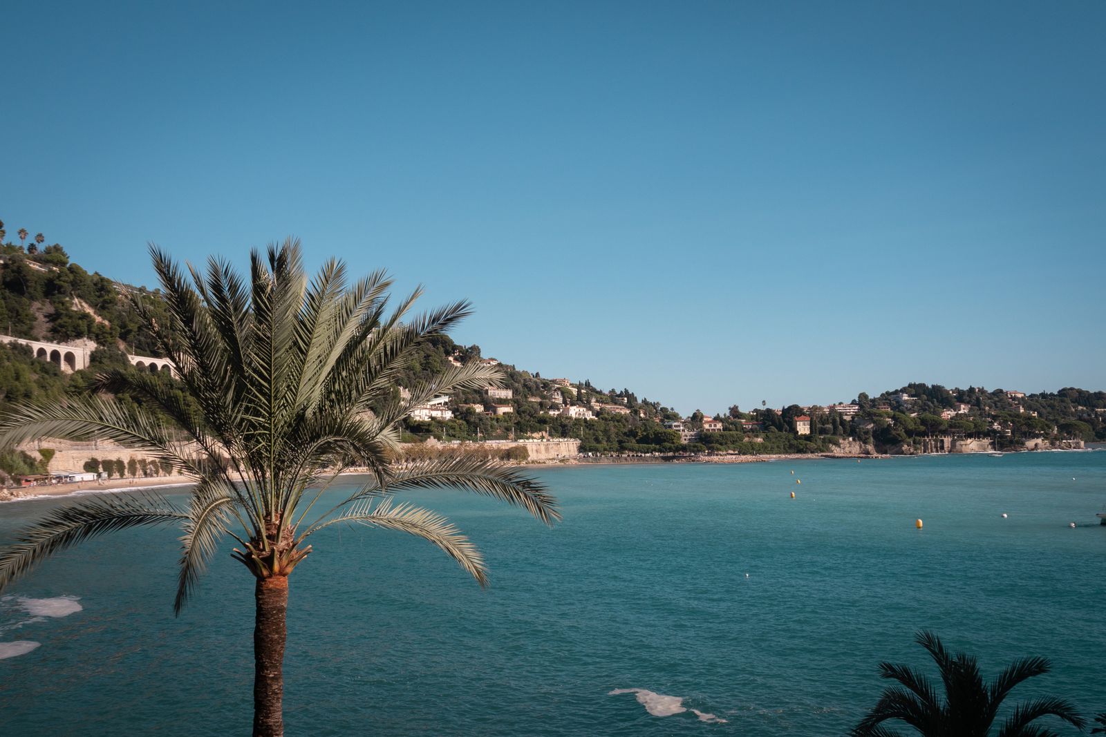 Beautiful view of Villefranche-sur-Mer coastline with a palm tree in the foreground on a sunny day.