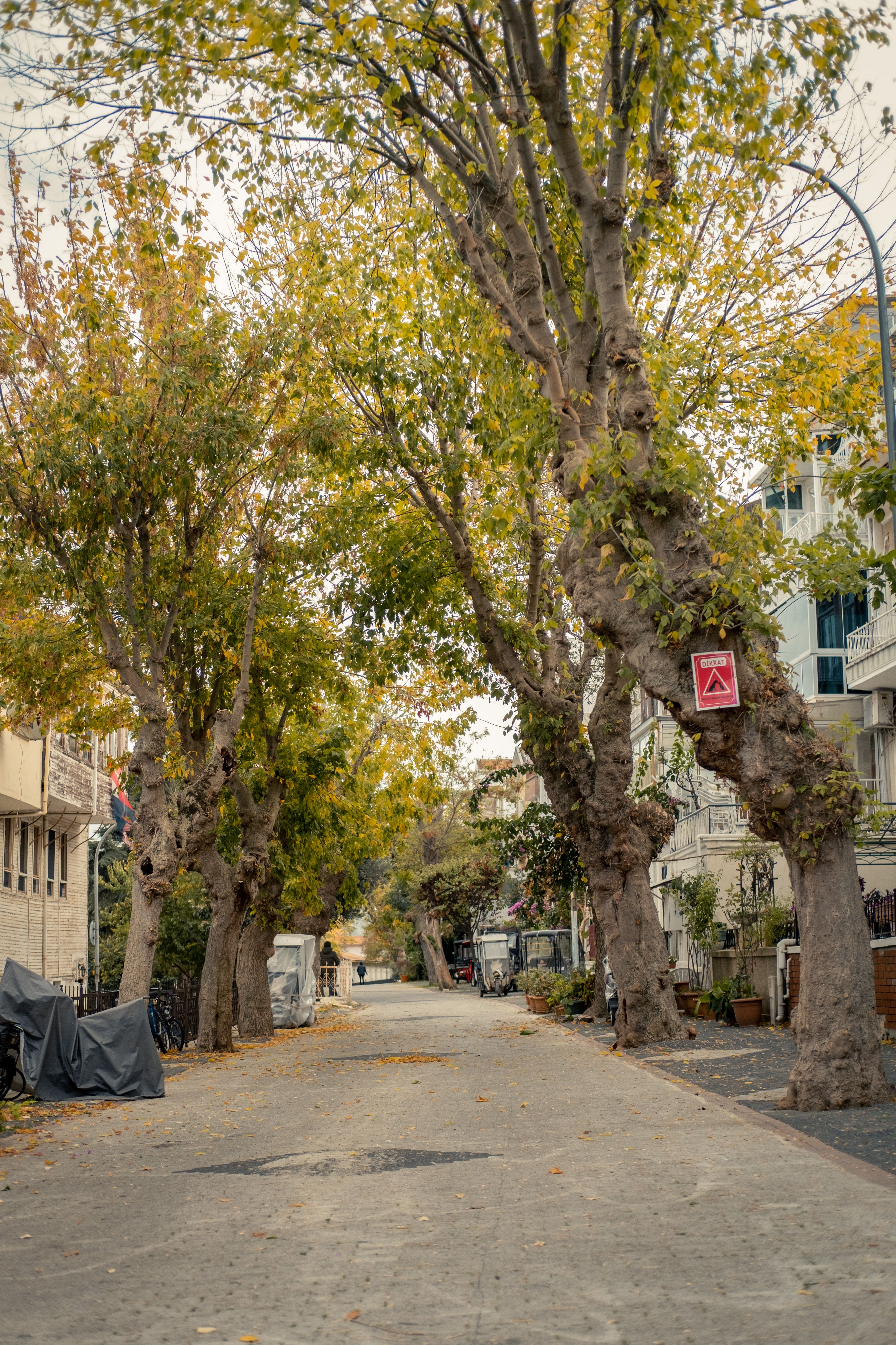 Street view near Waymart Pennsylvania