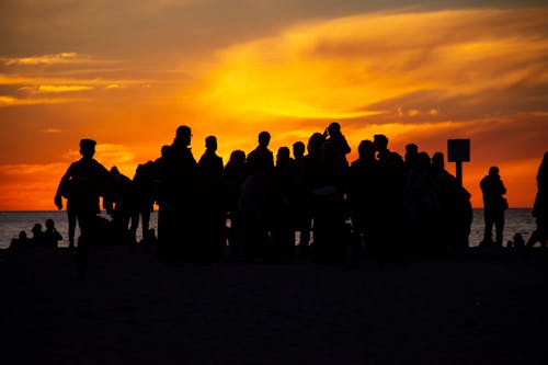 Silhouette Photography of People During Golden Hour
