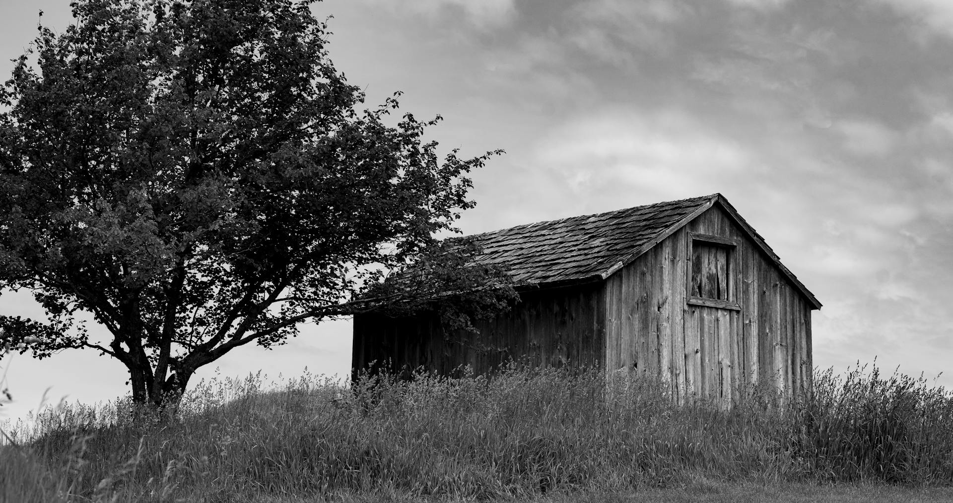 Golf Shed