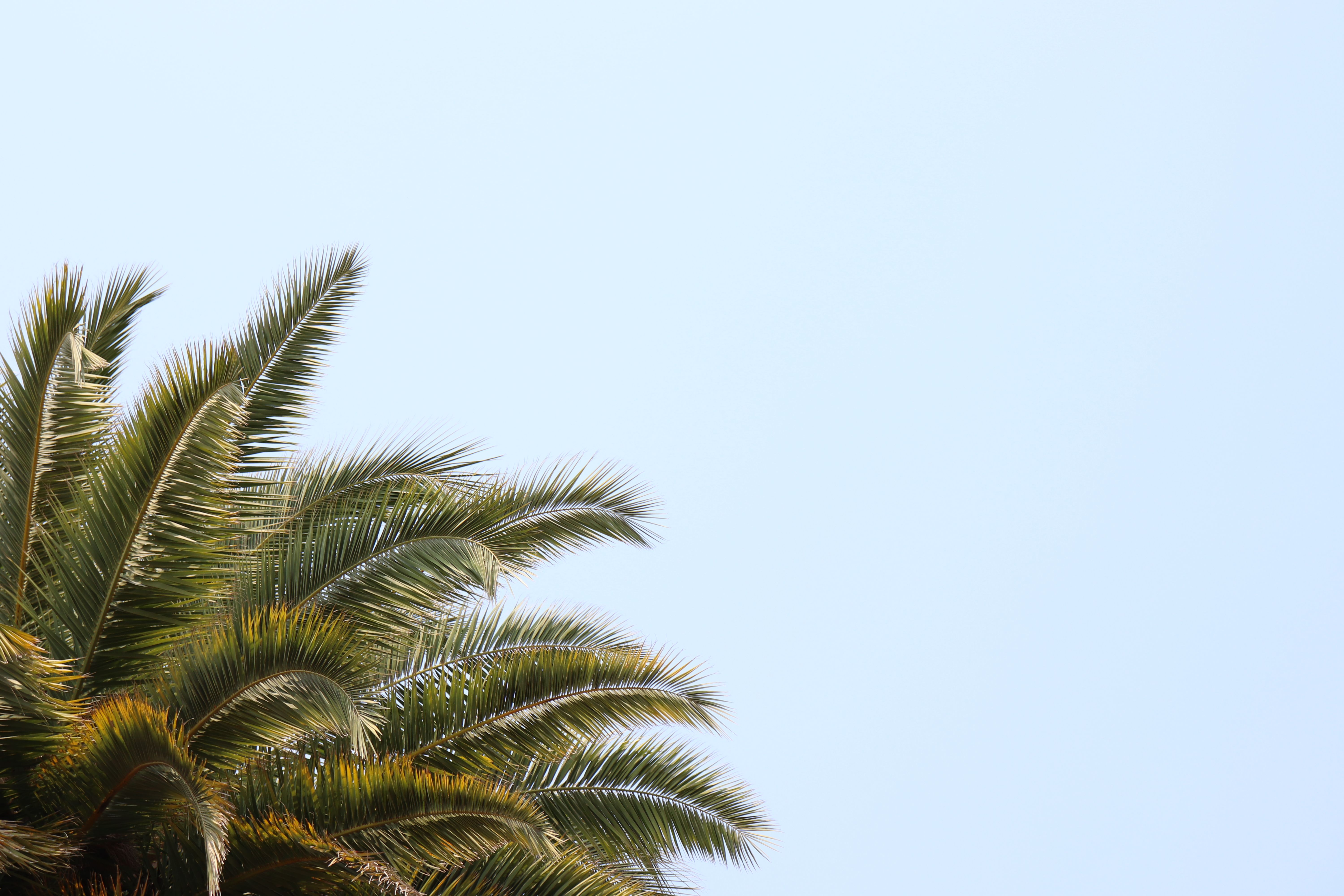 Palm Springs