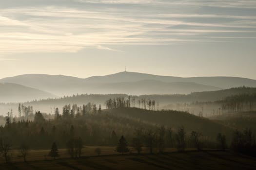 Image by Jiri Ikonomidis