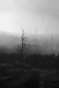 Image by Jiri Ikonomidis