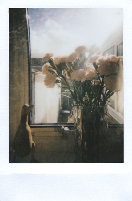 A dreamy still life of flowers in a vase by a window with a vintage touch.